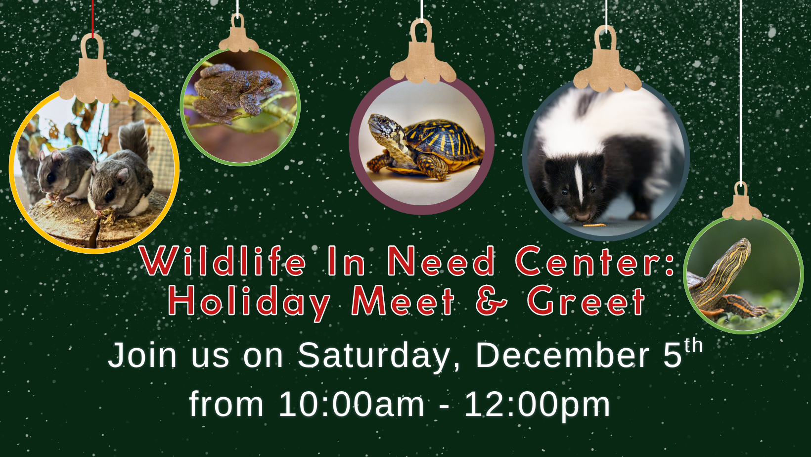 Image displays animal ambassadors in christamas ordiments hung over the text Wildlife in Need Center Holiday Meet and Greet 10 am to noon Saturday December 6th